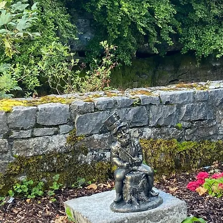 Salmon Weir Cong