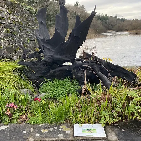 Frühstückspension Salmon Weir Cong