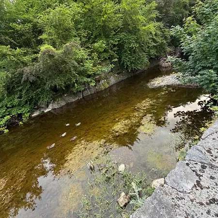 Salmon Weir Cong