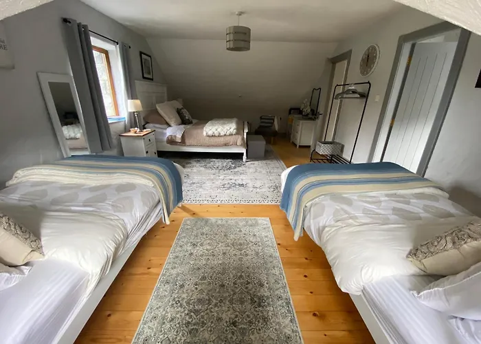 Salmon Weir Bed & Breakfast Cong