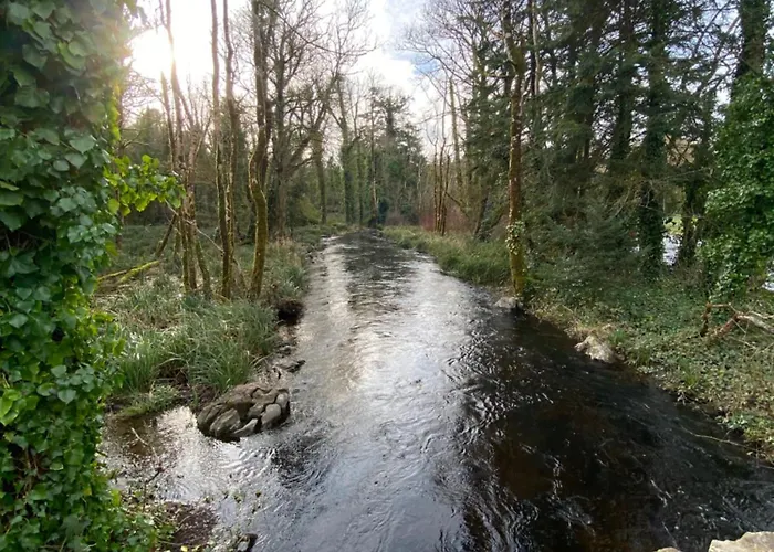 Salmon Weir Bed & Breakfast