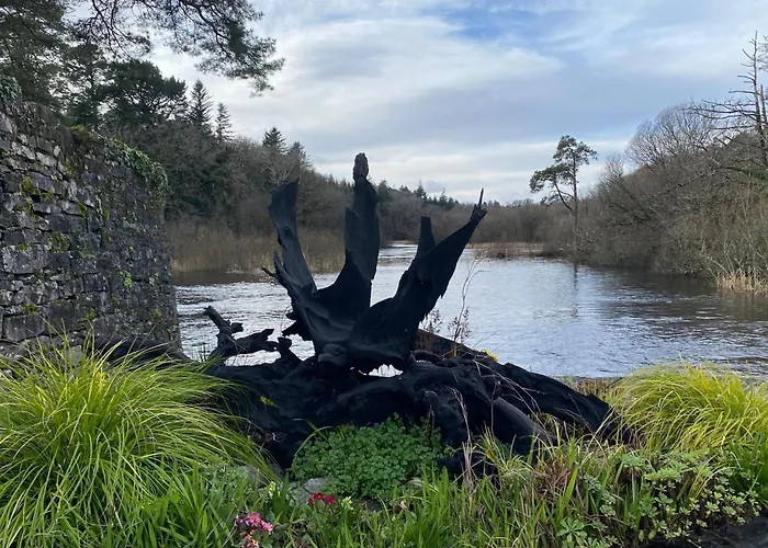 Salmon Weir Bed & Breakfast Cong