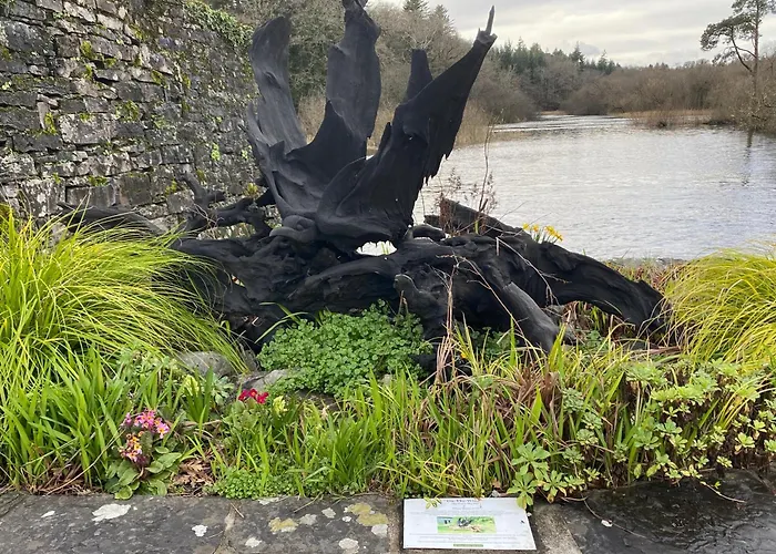 Bed & Breakfast Salmon Weir Cong